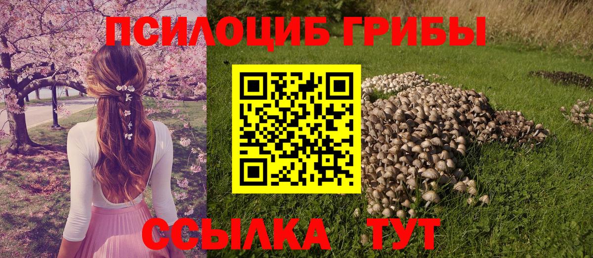 Галлюциногенные грибы ЛСД  Вход с VPN  Артёмовский  где найти   Псилоцибиновые грибы Psilocybe 