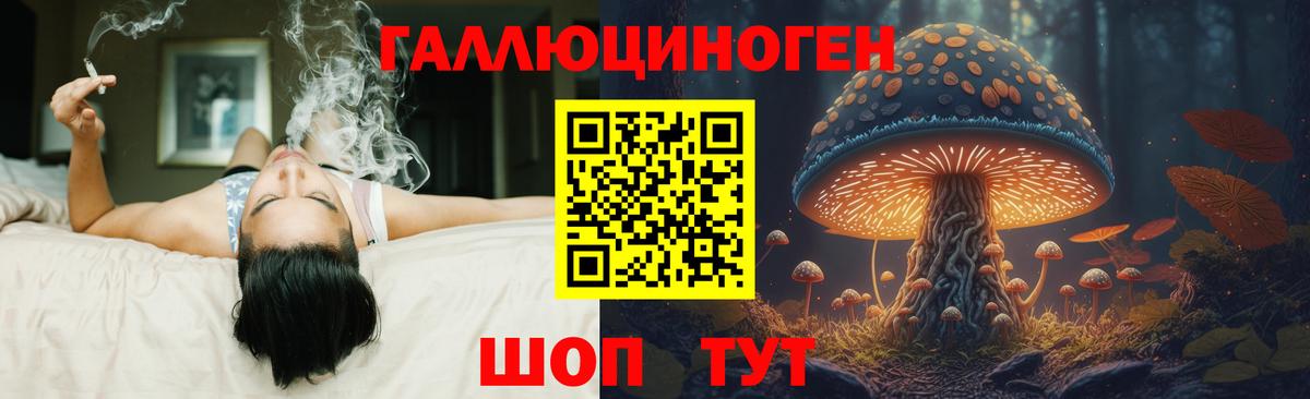 Псилоцибиновые грибы Psilocybe Артёмовский